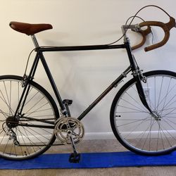 Nishiki Road Bike