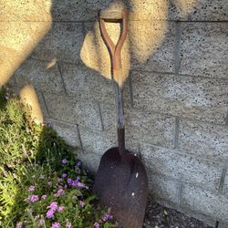 Yard Art Lawn Decor Antiques Houseplants- Estate Sale