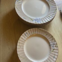 MIKASA Dinner Plates