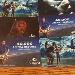 Sea World