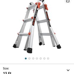 Little Giant Ladder 