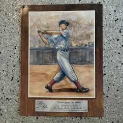 Vintage 1996/1997 “Ted Williams/ Boston Red Sox Tin Sign. Approx. 12x16. Legends