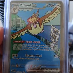 Pidgeot Ex Illustration Rare 