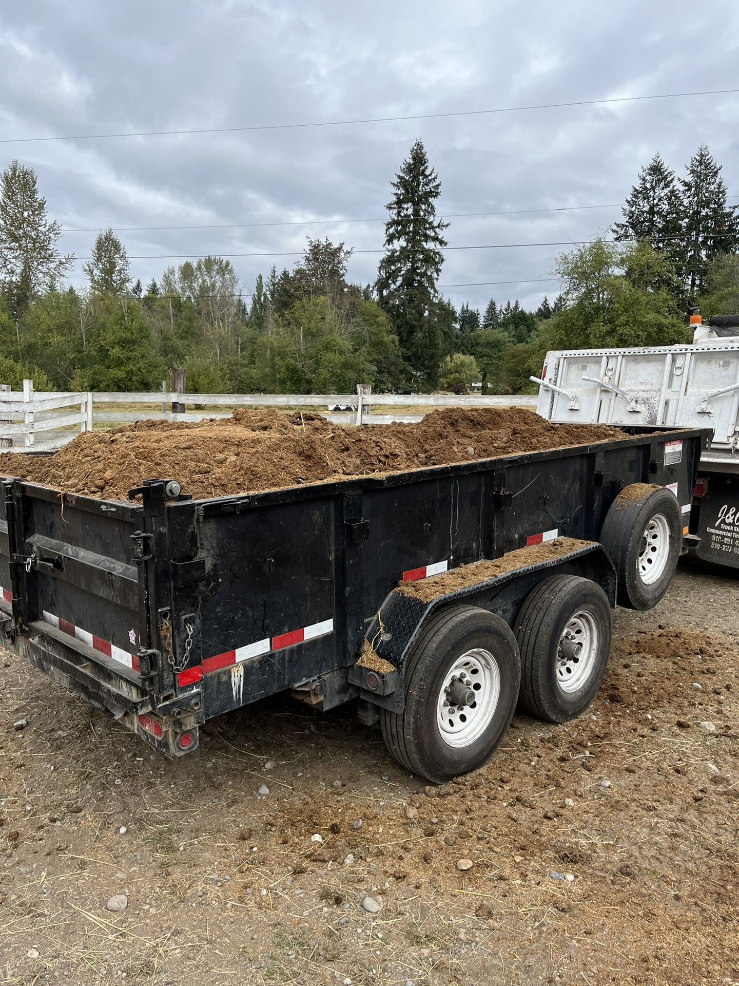 Free Horse Manure