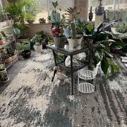 Open House 