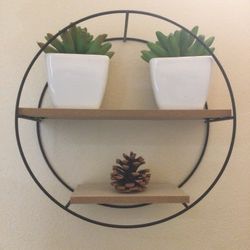 Three Succulents And Hanging Frame 