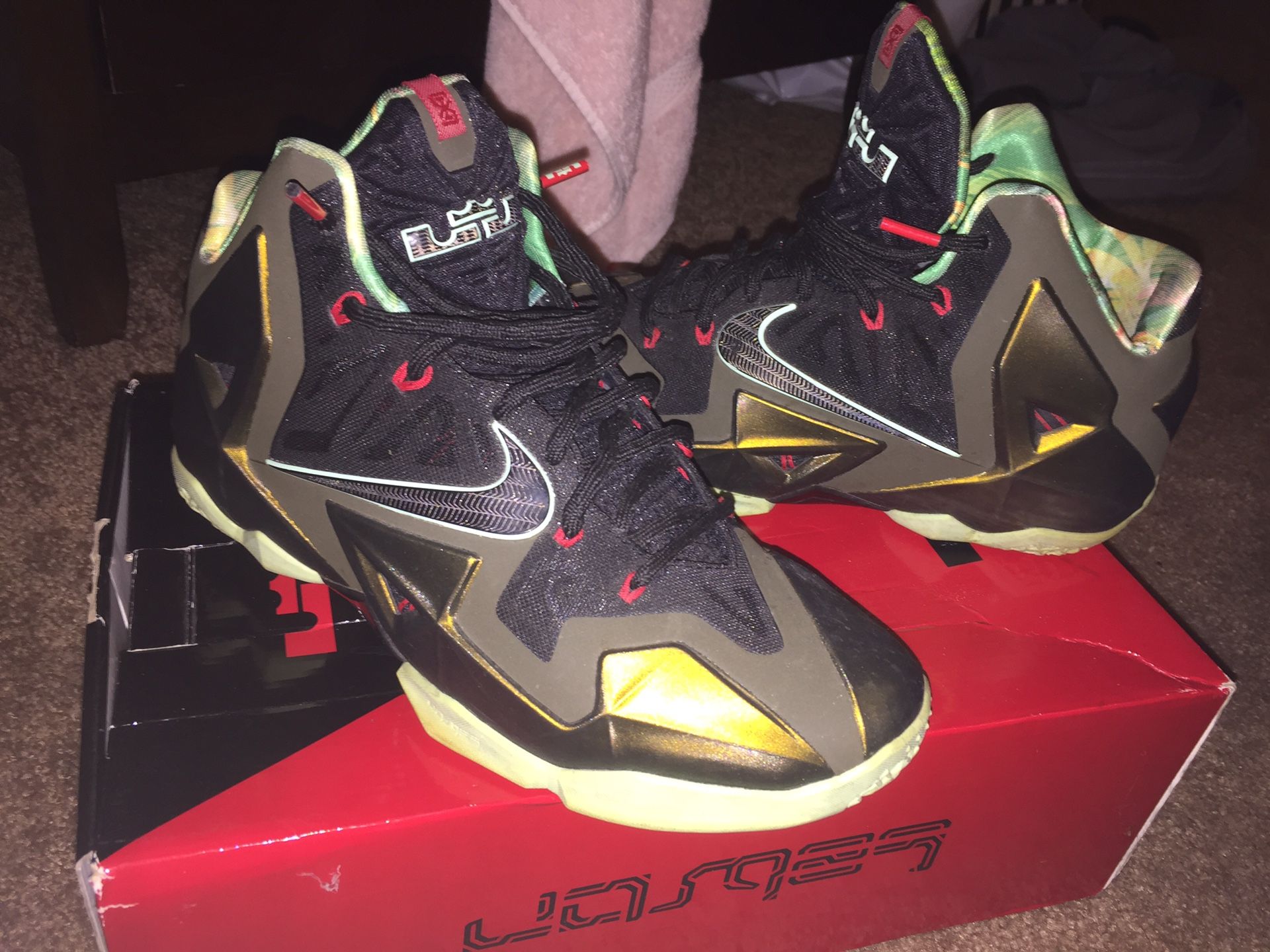Lebron kings pride