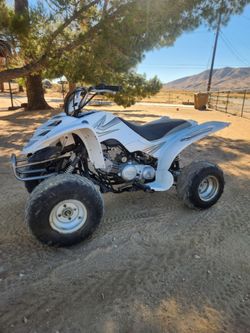 Mini Bike for sale