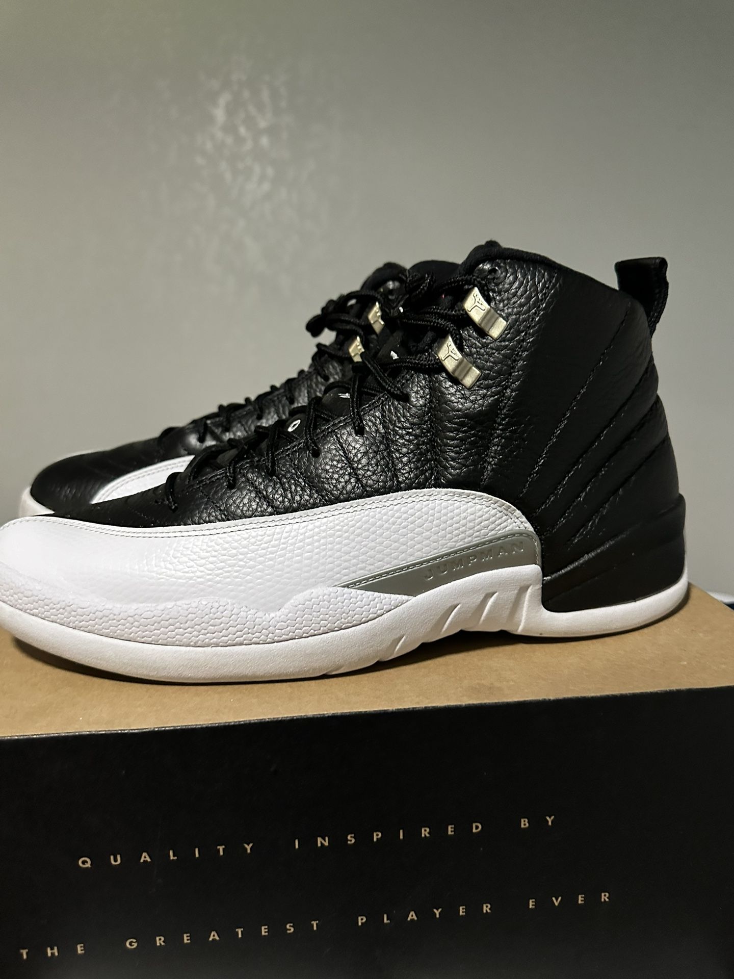 Jordan Retro 12