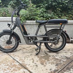 2024 Radrunner 3 Plus 