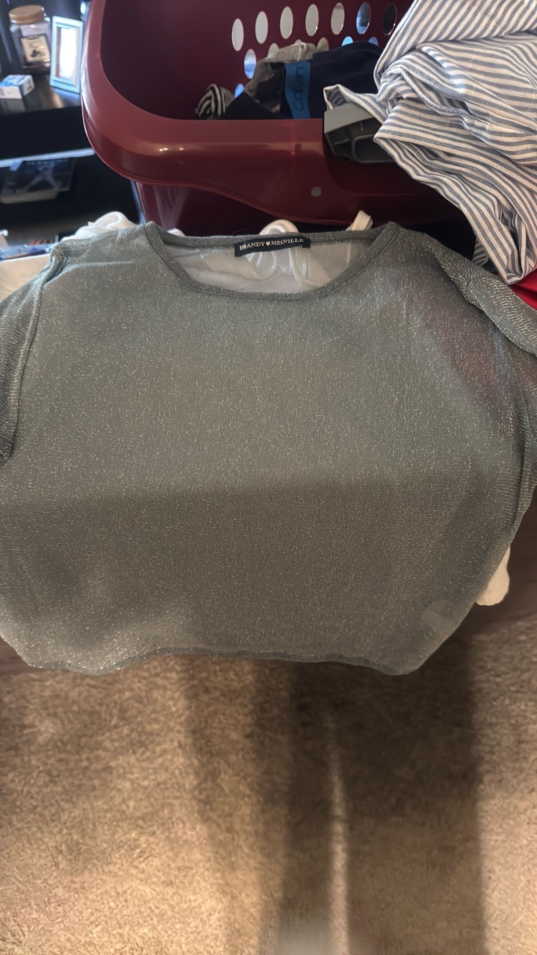 Silver See Thru Top