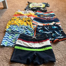 2T Boys Swim Trunks
