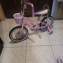 Girls Bloom 16 Inch Shwinn Bike