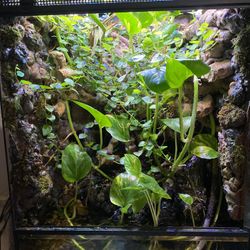 terrarium / Paludarium 18x18x24