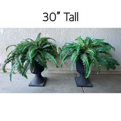 Pair of Faux Ferns in Black Urn Planters 30" Tall