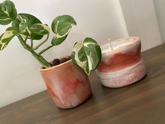 Handmade Pink Pottery Plant and Soy Candle Citrus Candle One of a Kind Gift Gift for her Plant Lover Soy Candle Pottery Ceramics