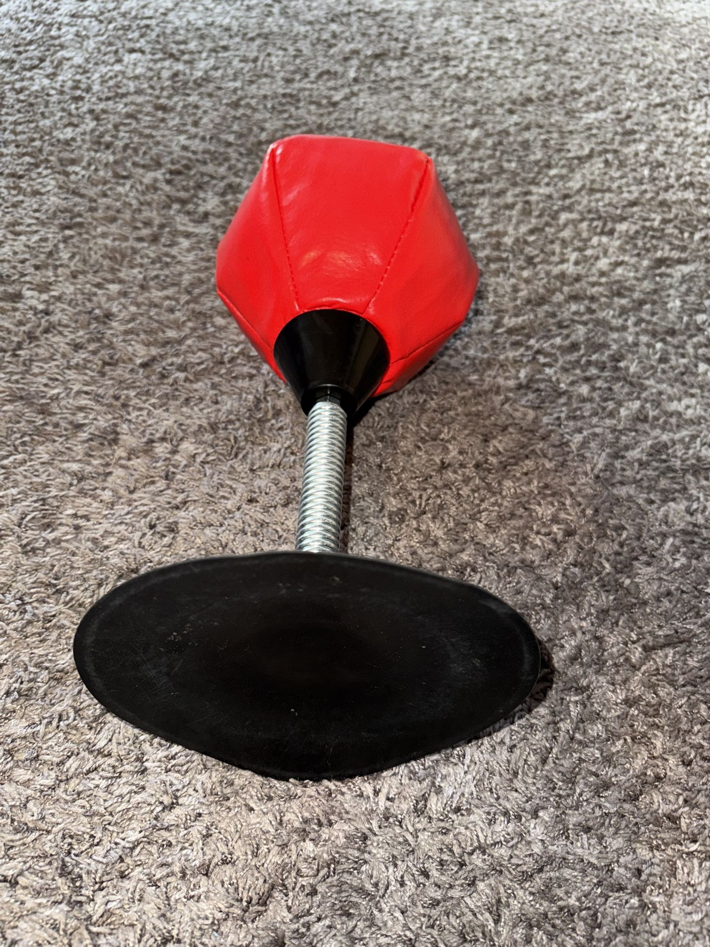 Portable Punching Bag