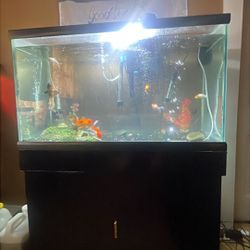 60 Gallon Aquarium