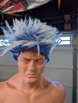 Hades Blue Gray Cosplay Wig