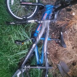 vintage  vista and ross roots cruiser schwinnbmx 80ea gt and haro bmx and mountai $50 ea $250 all