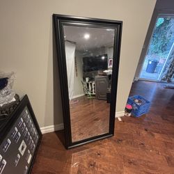 Full Length Self Mirror 