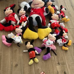 Mickey And Mini Stuff Animals. 