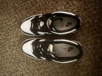 low pandas dunks