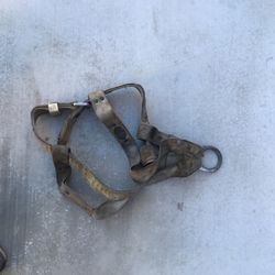 Safety Back Harness.