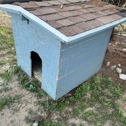 Dog House 