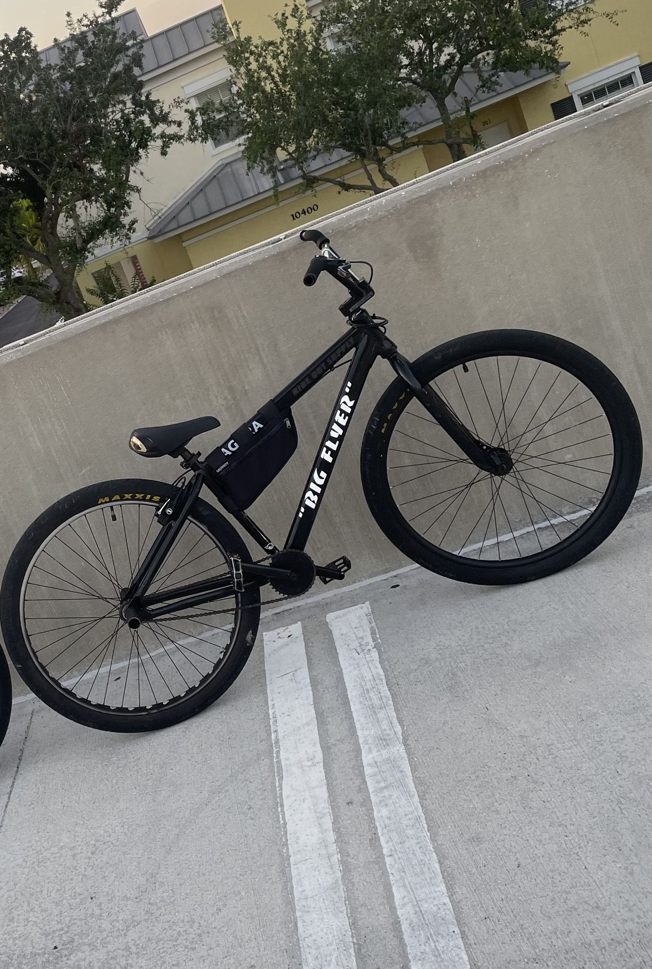 29 Inch Big Flyer