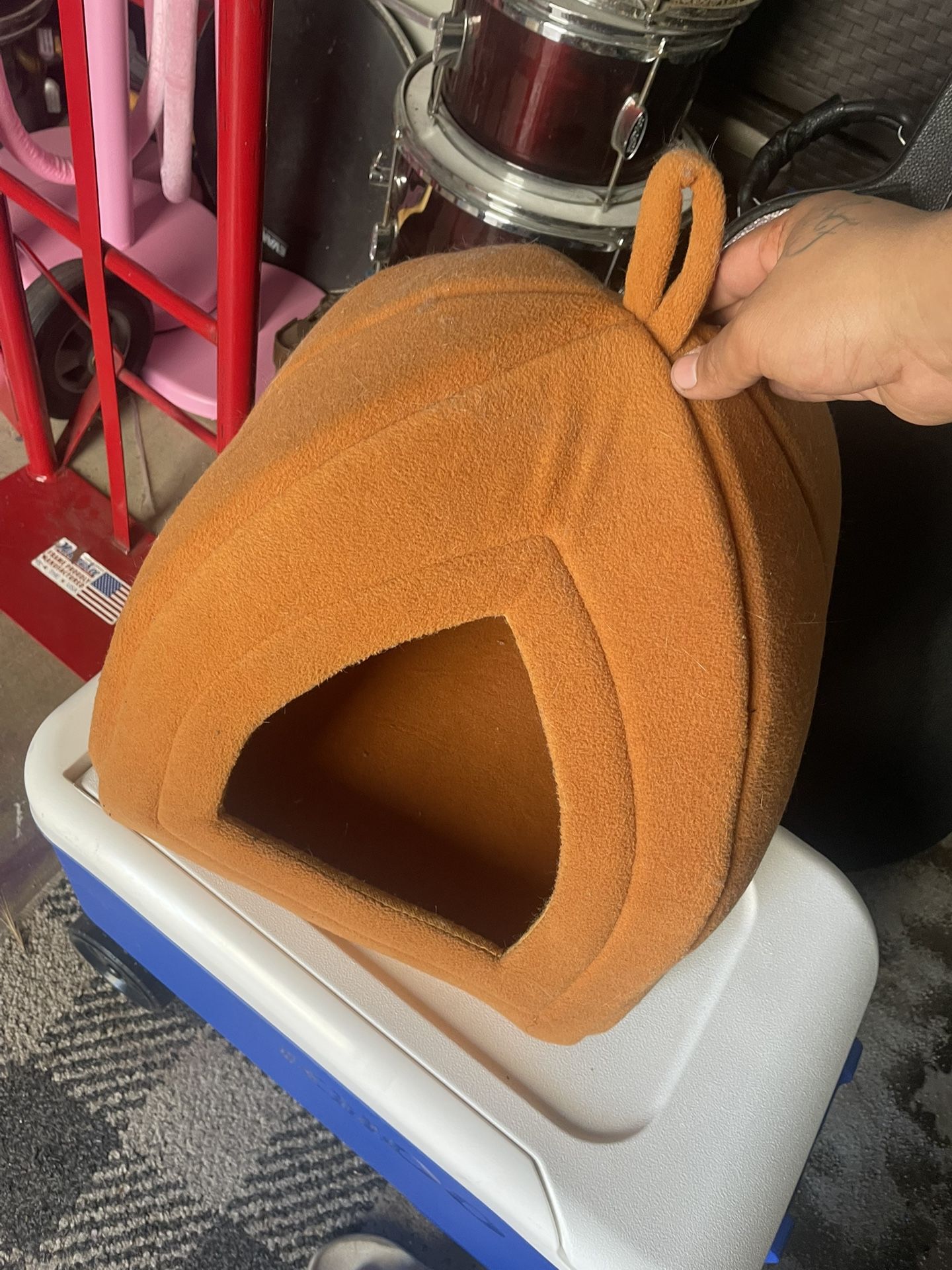 Pumpkin Cat House 