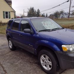 Ford Escape Hybrid 