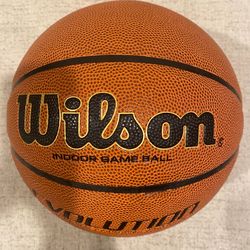 Wilson Evolution Indoor Basketball