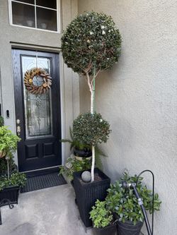 8’ Foot Tall Topiary 