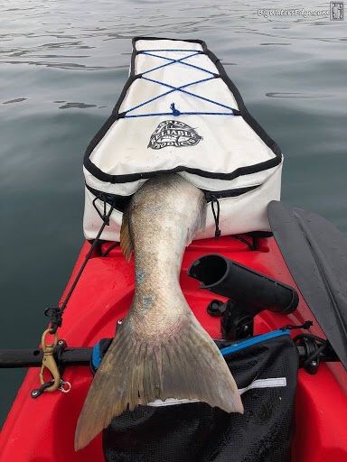 Reliable fish bag, game bag, kill bag. Ideal for kayak