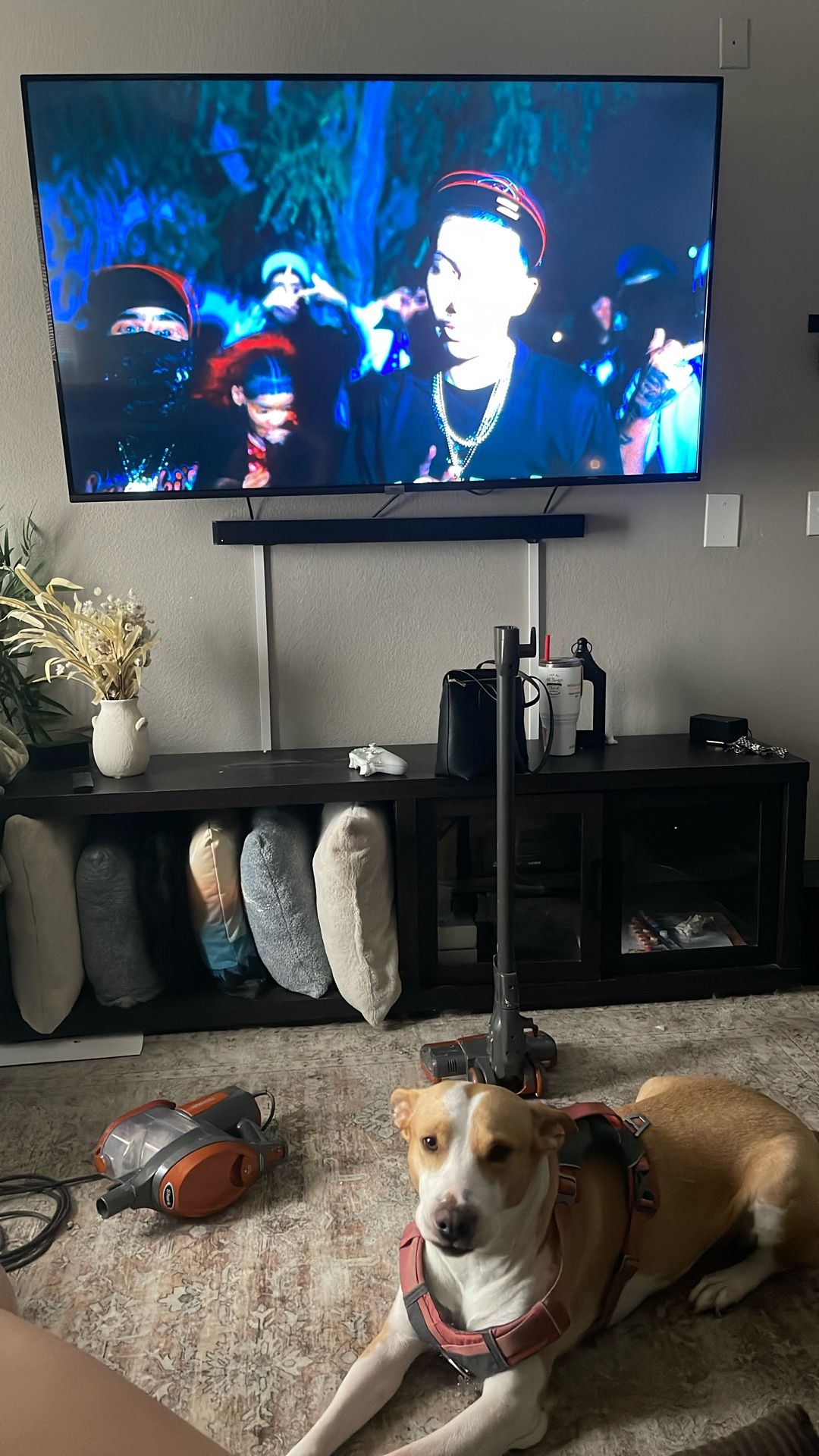 Entertainment Center