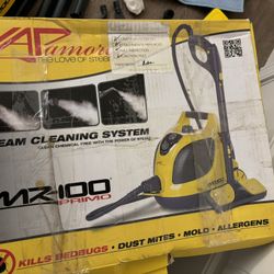 Vapamore Steam Cleaning System