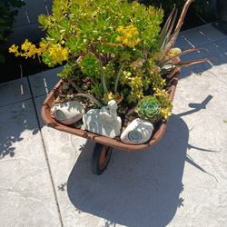 Decorate Succulent Wheelbarrow Plant Bed Must Go!