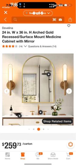 24 in. W × 36 in. H Arched Gold Recessed/Surface Mount Medicine Cabinet with Mirror
