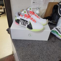 Nike LeBron XXII Size 12.5