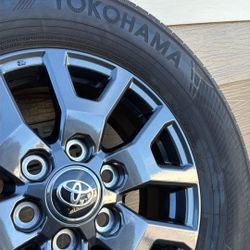 Tacoma 4runer