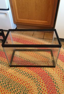 Full Fish tank