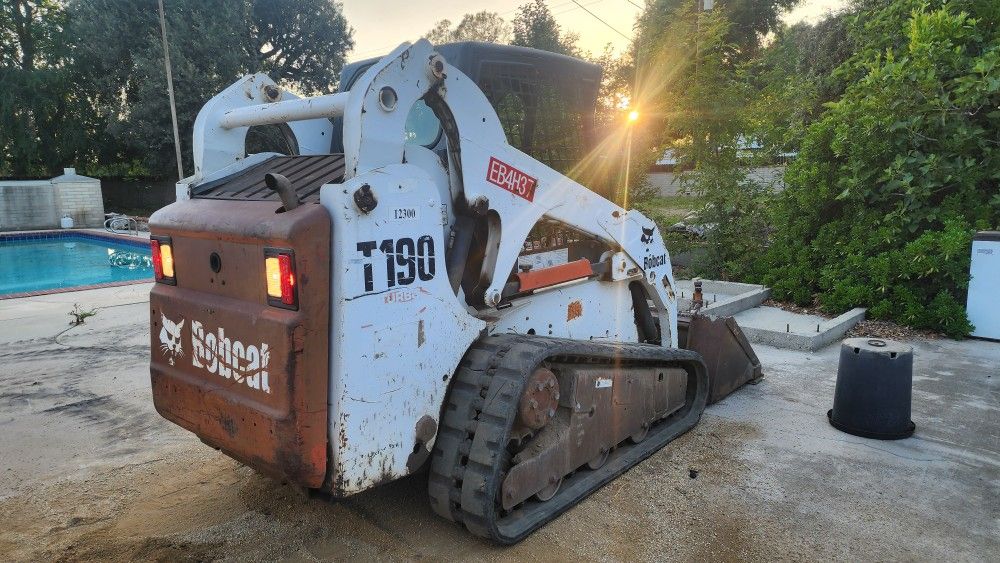 Bobcat