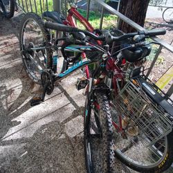 Blue Mountain Bike 