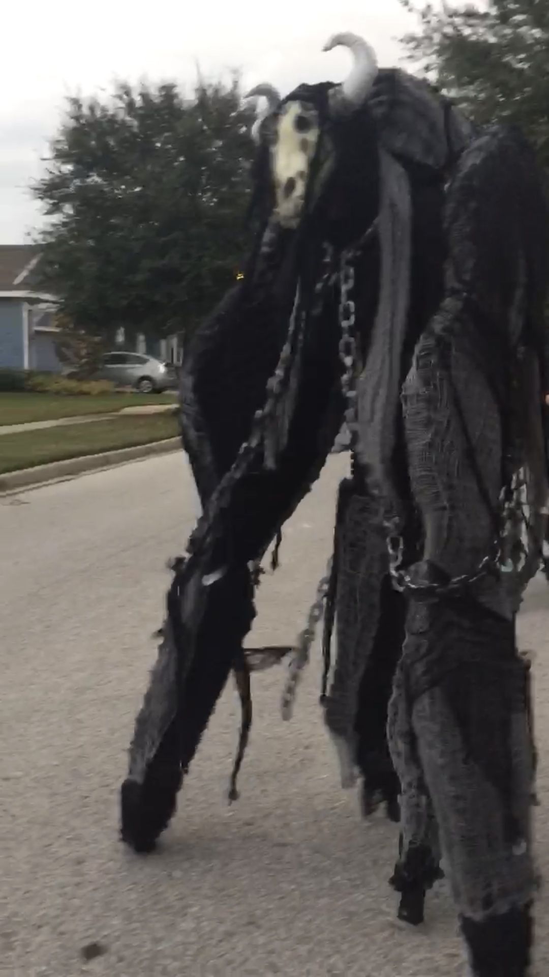 Custom 4 Legged Stilt Costume