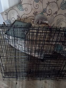 Animal crates