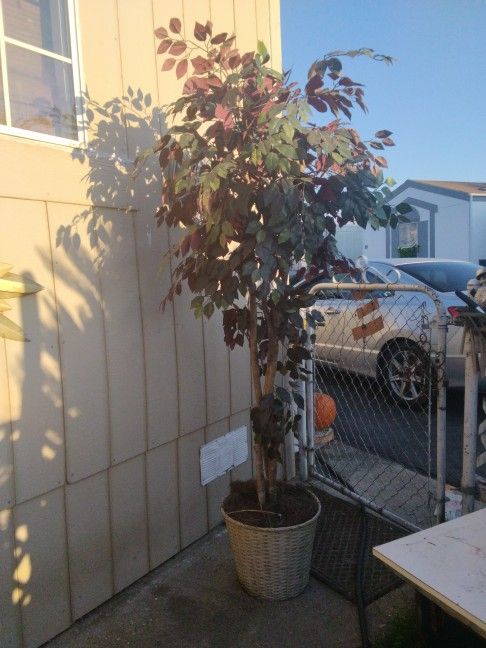 7 Ft Artificial Tree