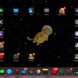 iPad Pro 11 M2 Oled Cellular Unlocked 256 GB
