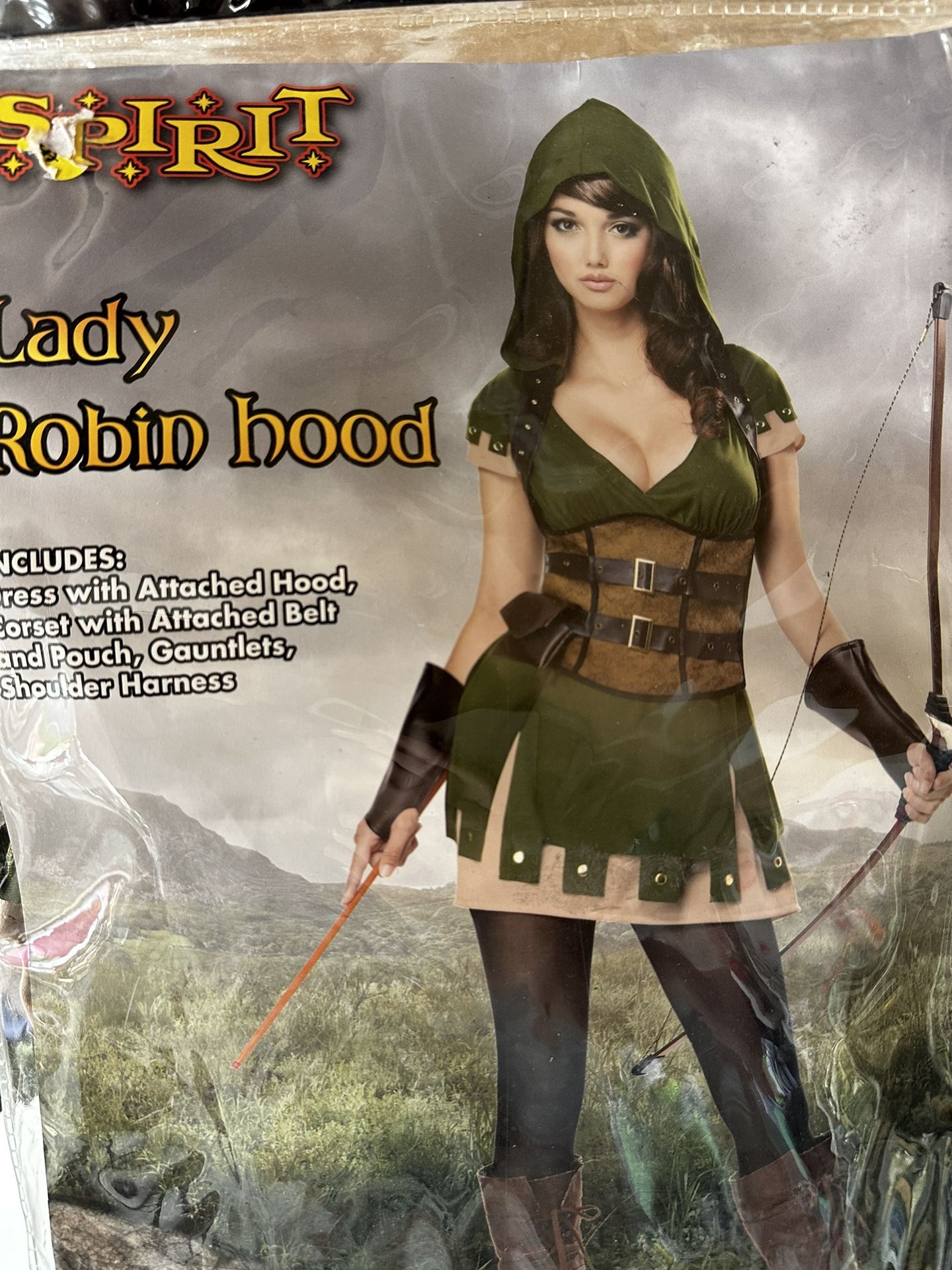 Adult Robin Good Girl Costume Halloween