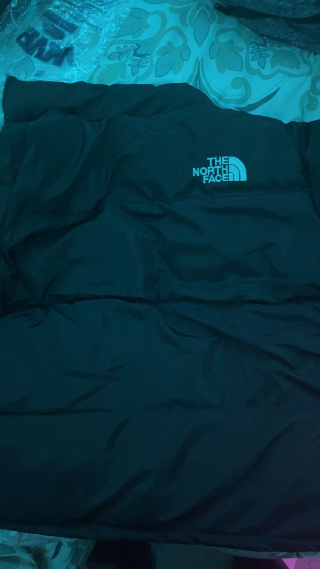NORTH FACE PUFFER NUPTSE 700